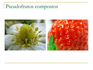 Pseudofrutos compostos 