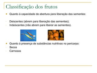 Classificação dos frutos Quanto à capacidade de abertura para liberação das sementes: Deiscentes (abrem para liberação das sementes); Indeiscentes (não abrem para liberar as sementes). Quanto à presença de substâncias nutritivas no pericarpo: Secos Carnosos 