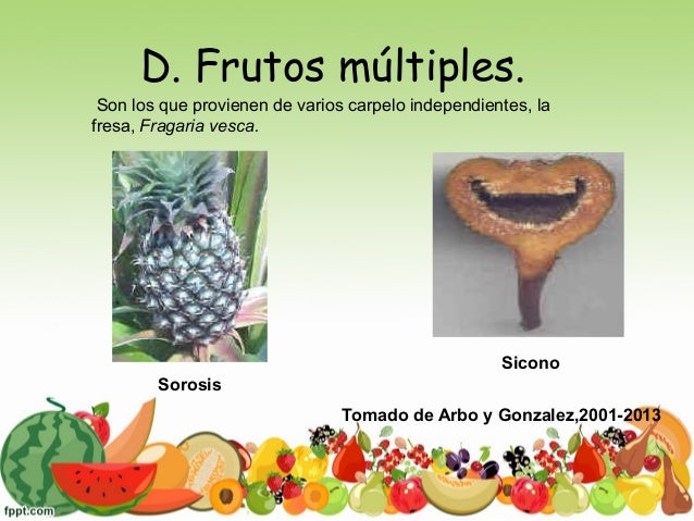 Resultado de imagen para TIPOS DE FRUTO MULTIPLES