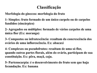 Classificação
Morfologia do gineceu: morfologia do fruto

1- Simples: fruto formado de um único carpelo ou de carpelos
fundidos (sincárpico)
2- Agregados ou múltiplos: formado de vários carpelos de uma
única flor (Ex: morango)
3- Compostos ou infrutescência: resultam da concrescência dos
ovários de uma inflorescência. Ex: abacaxi
4- Complexos ou pseudofrutos: resultam de uma só flor,
quando outras partes florais, além do ovário, participam de sua
constituição. Ex: pêra, maçã, caju.
5- Partenocarpia: é o desenvolvimento do fruto sem que haja
fecundação. Ex: banana

 