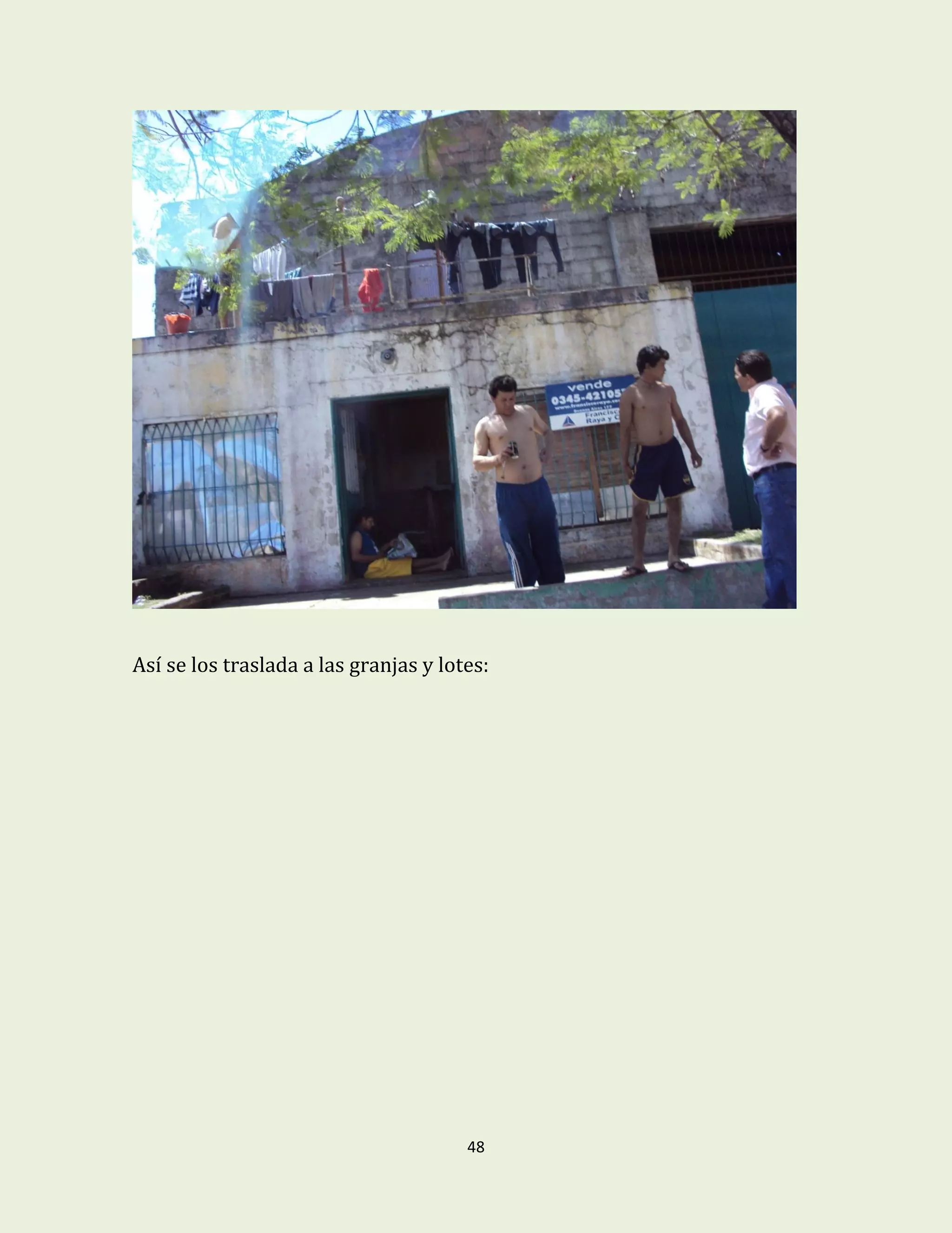 48
Así se los traslada a las granjas y lotes:
 