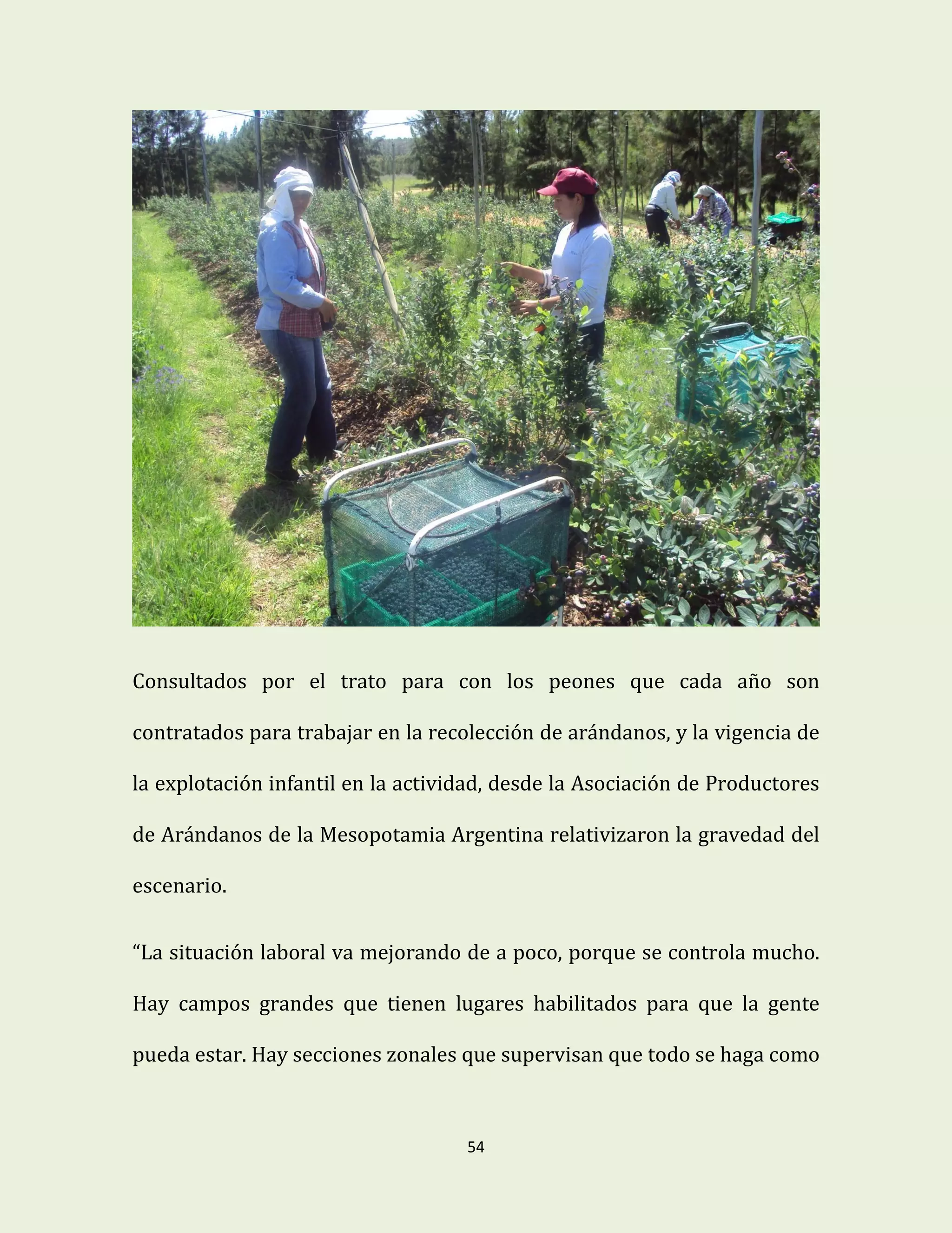 54
Consultados por el trato para con los peones que cada año son
contratados para trabajar en la recolección de arándanos, y la vigencia de
la explotación infantil en la actividad, desde la Asociación de Productores
de Arándanos de la Mesopotamia Argentina relativizaron la gravedad del
escenario.
“La situación laboral va mejorando de a poco, porque se controla mucho.
Hay campos grandes que tienen lugares habilitados para que la gente
pueda estar. Hay secciones zonales que supervisan que todo se haga como
 