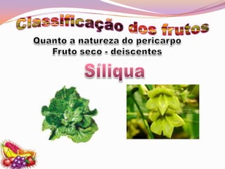 Classificação dos frutosQuanto a natureza do pericarpoFruto seco - deiscentesSíliqua