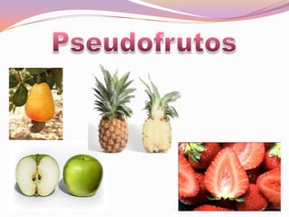 Pseudofrutos