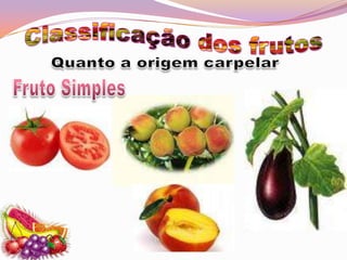 Classificação dos frutosQuanto a origem carpelarFruto Simples