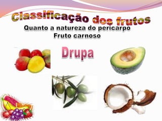 Classificação dos frutosQuanto a natureza do pericarpoFruto carnosoDrupa