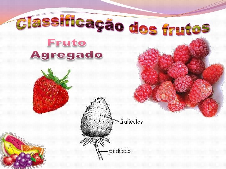 Os Frutos São Importantes Estruturas Relacionadas Com A Dispersão