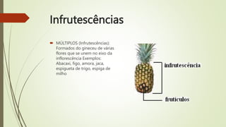 Infrutescências
 MÚLTIPLOS (Infrutescências):
Formados do gineceu de várias
flores que se unem no eixo da
inflorescência Exemplos:
Abacaxi, figo, amora, jaca,
espigueta de trigo, espiga de
milho
 