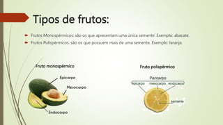 Tipos de frutos:
 Frutos Monospérmicos: são os que apresentam uma única semente. Exemplo: abacate.
 Frutos Polispérmicos: são os que possuem mais de uma semente. Exemplo: laranja.
Fruto monospérmico Fruto polispérmico
 
