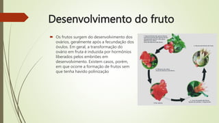 Desenvolvimento do fruto
 Os frutos surgem do desenvolvimento dos
ovários, geralmente após a fecundação dos
óvulos. Em geral, a transformação do
ovário em fruta é induzida por hormônios
liberados pelos embriões em
desenvolvimento. Existem casos, porém,
em que ocorre a formação de frutos sem
que tenha havido polinização
 