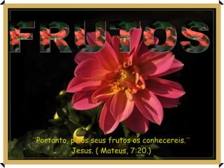 ¨Portanto, pelos seus frutos os conhecereis.¨ Jesus. ( Mateus, 7:20.) FRUTOS 