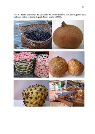 42



Foto 1 – Frutas comestíveis da Amazônia. No sentido horário: açaí, abricó, jambo rosa,
jenipapo, biribá, castanha-do-pará. Fonte: a autora (2008).
 