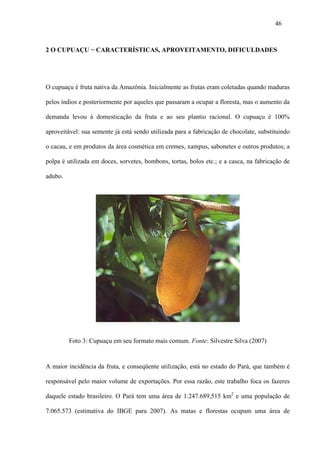 46



2 O CUPUAÇU − CARACTERÍSTICAS, APROVEITAMENTO, DIFICULDADES




O cupuaçu é fruta nativa da Amazônia. Inicialmente as frutas eram coletadas quando maduras

pelos índios e posteriormente por aqueles que passaram a ocupar a floresta, mas o aumento da

demanda levou à domesticação da fruta e ao seu plantio racional. O cupuaçu é 100%

aproveitável: sua semente já está sendo utilizada para a fabricação de chocolate, substituindo

o cacau, e em produtos da área cosmética em cremes, xampus, sabonetes e outros produtos; a

polpa é utilizada em doces, sorvetes, bombons, tortas, bolos etc.; e a casca, na fabricação de

adubo.




         Foto 3: Cupuaçu em seu formato mais comum. Fonte: Silvestre Silva (2007)


A maior incidência da fruta, e conseqüente utilização, está no estado do Pará, que também é

responsável pelo maior volume de exportações. Por essa razão, este trabalho foca os fazeres

daquele estado brasileiro. O Pará tem uma área de 1.247.689,515 km2 e uma população de

7.065.573 (estimativa do IBGE para 2007). As matas e florestas ocupam uma área de
 