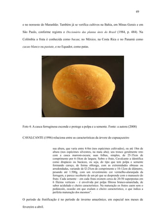 49



e no noroeste do Maranhão. Também já se verifica cultivos na Bahia, em Minas Gerais e em

São Paulo, conforme registra o Diccionário das plantas úteis do Brasil (1984, p. 484). Na

Colômbia a fruta é conhecida como bacau; no México, na Costa Rica e no Panamá como

cacao blanco ou pastate, e no Equador, como patas.




Foto 4: A casca ferruginosa esconde e protege a polpa e a semente. Fonte: a autora (2008)


CAVALCANTE (1996) relaciona entre as características da árvore do cupuaçuzeiro


                       sua altura, que varia entre 4-8m (nos espécimes cultivados), ou até 18m de
                       altura (nos espécimes silvestres, na mata alta); seu tronco geralmente reto
                       com a casca marrom-escura; suas folhas, simples, de 25-35cm de
                       comprimento por 6-10cm de largura. Sobre o fruto, Cavalcante a identifica
                       como drupáceo ou bacáceo, ou seja, do tipo que tem polpa e semente
                       formando caroço, de forma oblonga, com as extremidades obtusas ou
                       arredondadas, variando de l2-25cm de comprimento e 10-12cm de diâmetro,
                       pesando até 1.500g, com um revestimento cor vermelho-alaranjada da
                       ferrugem, e parece recoberto de um pó que se desprende com o manuseio do
                       fruto. Cada semente – em cada fruta existem cerca de 20-50 superpostas em
                       6 fileiras verticais – é envolvida por polpa fibrosa branco-amarelada, de
                       sabor acidulado e cheiro característico. Na maturação os frutos caem sem o
                       pedúnculo, ocasião em que exalam o cheiro característico, o que indica a
                       perfeita maturação dos mesmos”.

O período de frutificação é no período de inverno amazônico, em especial nos meses de

fevereiro a abril.
 