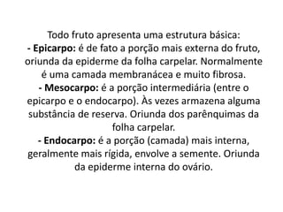 Todo fruto apresenta uma estrutura básica:
- Epicarpo: é de fato a porção mais externa do fruto,
oriunda da epiderme da folha carpelar. Normalmente
    é uma camada membranácea e muito fibrosa.
   - Mesocarpo: é a porção intermediária (entre o
epicarpo e o endocarpo). Às vezes armazena alguma
 substância de reserva. Oriunda dos parênquimas da
                    folha carpelar.
   - Endocarpo: é a porção (camada) mais interna,
 geralmente mais rígida, envolve a semente. Oriunda
            da epiderme interna do ovário.
 