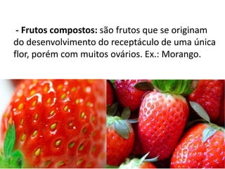 - Frutos compostos: são frutos que se originam
do desenvolvimento do receptáculo de uma única
flor, porém com muitos ovários. Ex.: Morango.
 