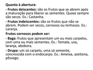 Quanto à abertura:
- Frutos deiscentes: são os frutos que se abrem após
a maturação para liberar as sementes. Quase sempre
são secos. Ex.: Castanha.
- Frutos indeiscentes: são os frutos que não se
abrem. Podem ser secos, carnosos ou lenhosos. Ex.:
Laranja.
Frutos carnosos podem ser:
- Baga: frutos que apresentam um ou mais carpelos,
com uma ou mais sementes. Ex.: Tomate, uva,
laranja, abobora.
- Drupa: um só carpelo, uma só semente,
concrescida com o endocarpo. Ex.: Ameixa, azeitona,
pêssego.
 