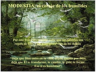 MODESTIA: el coraje de los humildes




  Por este fruto, el creyente sabe que sus talentos son
   regalo de Dios y los pone al servicio de los demás



“Deja que Dios entre en tu vida, déjate querer por Dios,
 deja que Él te transforme, te cambie, te guíe, te forme.
                   Eso sí es humildad”.
 
