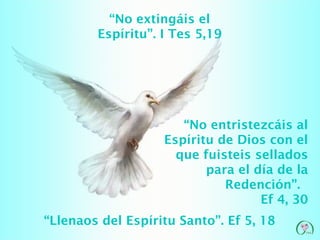“No extingáis el
        Espíritu”. I Tes 5,19




                      “No entristezcáis al
                   Espíritu de Dios con el
                     que fuisteis sellados
                          para el día de la
                             Redención”.
                                   Ef 4, 30
“Llenaos del Espíritu Santo”. Ef 5, 18
 