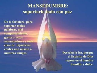 MANSEDUMBRE: soportarlo todo con paz  Desecha la ira, porque el Espíritu de Dios reposa en el hombre humilde y dulce. Da la fortaleza  para soportar malas palabras, mal comportamiento, gestos y actos amenazadores y toda clase de  injusticias contra uno mismo o nuestros amigos. 