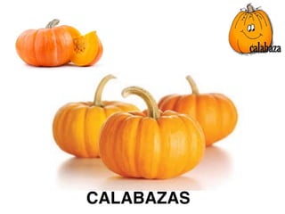 CALABAZAS