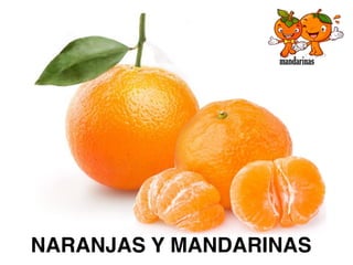 NARANJAS Y MANDARINAS
