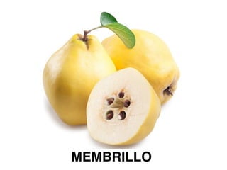 MEMBRILLO