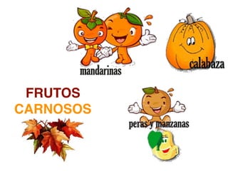 FRUTOS
CARNOSOS
