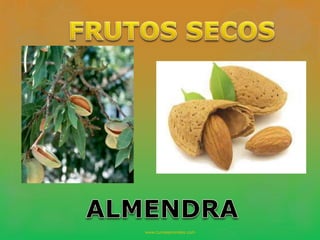 www.tumeaprendes.com
 