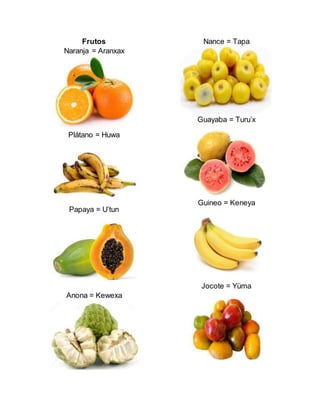 Frutos
Naranja = Aranxax
Plátano = Huwa
Papaya = U’tun
Anona = Kewexa
Nance = Tapa
Guayaba = Turu’x
Guineo = Keneya
Jocote = Yüma
 