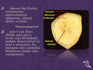      Apesar dos frutos
    comumente
    apresentarem
    sementes, alguns
    deles, os fruto
          (Partenocárpicos)

     pois é um fruto
    obtido sem que o
    óvulo seja fecundado,
    podem desenvolver-se
    sem a sementes. As
    bananas são exemplos
    familiares desse caso
    excepcional.
 