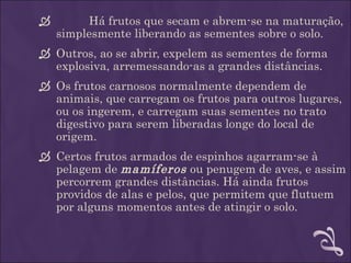         Há frutos que secam e abrem-se na maturação,
    simplesmente liberando as sementes sobre o solo.
 Outros, ao se abrir, expelem as sementes de forma
  explosiva, arremessando-as a grandes distâncias.
 Os frutos carnosos normalmente dependem de
  animais, que carregam os frutos para outros lugares,
  ou os ingerem, e carregam suas sementes no trato
  digestivo para serem liberadas longe do local de
  origem.
 Certos frutos armados de espinhos agarram-se à
  pelagem de mamíferos ou penugem de aves, e assim
  percorrem grandes distâncias. Há ainda frutos
  providos de alas e pelos, que permitem que flutuem
  por alguns momentos antes de atingir o solo.
 