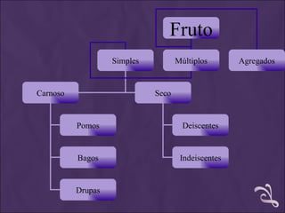 Fruto
                   Simples          Múltiplos       Agregados


Carnoso                      Seco


          Pomos                       Deiscentes


          Bagos                      Indeiscentes


          Drupas
 