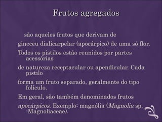 Frutos agregados

  são aqueles frutos que derivam de
gineceu dialicarpelar (apocárpico) de uma só flor.
Todos os pistilos estão reunidos por partes
   acessórias
de natureza receptacular ou apendicular. Cada
   pistilo
forma um fruto separado, geralmente do tipo
   folículo.
Em geral, são também denominados frutos
apocárpicos. Exemplo: magnólia (Magnolia sp.
  -Magnoliaceae).
 