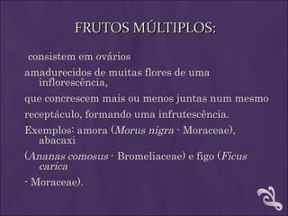 FRUTOS MÚLTIPLOS:
consistem em ovários
amadurecidos de muitas flores de uma
  inflorescência,
que concrescem mais ou menos juntas num mesmo
receptáculo, formando uma infrutescência.
Exemplos: amora (Morus nigra - Moraceae),
  abacaxi
(Ananas comosus - Bromeliaceae) e figo (Ficus
   carica
- Moraceae).
 
