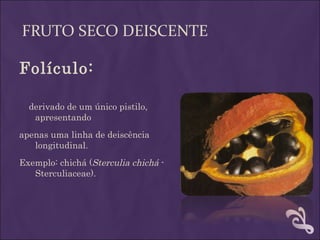 FRUTO SECO DEISCENTE

Folículo:

  derivado de um único pistilo,
   apresentando
apenas uma linha de deiscência
   longitudinal.
Exemplo: chichá (Sterculia chichá -
   Sterculiaceae).
 