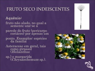FRUTO SECO INDEISCENTES
Aquênio:
fruto não alado, no qual a
   semente une-se à
parede do fruto (pericarpo
   coriáceo) por apenas um
ponto. Exemplos: espécies
   da família
Asteraceae em geral, tais
   como girassol
   (Helianthus
sp.) e margarida
   (Chrysanthemum sp.).
 