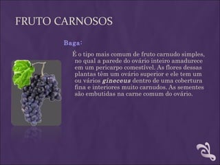 FRUTO CARNOSOS
      Baga:
        É o tipo mais comum de fruto carnudo simples,
         no qual a parede do ovário inteiro amadurece
         em um pericarpo comestível. As flores dessas
         plantas têm um ovário superior e ele tem um
         ou vários gineceus dentro de uma cobertura
         fina e interiores muito carnudos. As sementes
         são embutidas na carne comum do ovário.
 