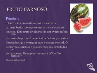 FRUTO CARNOSO
Pepônio:
o fruto não apresenta septos e a camada
externa (epicarpo) apresenta-se de coriácea até
lenhosa. Este fruto origina-se de um ovário ínfero,
    com
placentação parietal constituída de três placentas
bifurcadas, que avançam para o espaço central. O
pericarpo é carnoso e as sementes são embebidas
    em
polpa sucosa. Exemplos: melancia (Citrullus
    lanatus -
Cucurbitaceae)
 