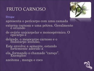 FRUTO CARNOSO
Drupa:
apresenta o pericarpo com uma camada
externa carnosa e uma pétrea. Geralmente
   é oriundo
de ovário unicarpelar e monospérmico. O
   epicarpo é
delgado, o mesocarpo carnoso e o
   endocarpo lenhoso.
Este envolve a semente, estando
   fortemente aderido a
ela, formando o chamado “caroço”.
   Exemplos:
azeitona , manga e coco
 