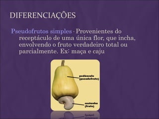 DIFERENCIAÇÕES
Pseudofrutos simples - Provenientes do
  receptáculo de uma única flor, que incha,
  envolvendo o fruto verdadeiro total ou
  parcialmente. Ex: maça e caju
 