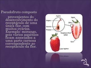 Pseudofruto composto
    provenientes do
  desenvolvimento do
  receptáculo de uma
  única flor, com
  muitos ovários.
  Exemplo: morango,
  pois vários aquênios
  ficam associados a
  uma parte carnosa
  correspondente ao
  receptáculo da flor.
 