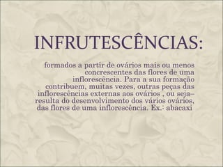 INFRUTESCÊNCIAS:
   formados a partir de ovários mais ou menos
                concrescentes das flores de uma
            inflorescência. Para a sua formação
    contribuem, muitas vezes, outras peças das
 inflorescências externas aos ovários , ou seja–
resulta do desenvolvimento dos vários ovários,
 das flores de uma inflorescência. Ex.: abacaxi
 