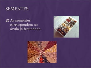 SEMENTES

 As sementes
  correspondem ao
  óvulo já fecundado.
 