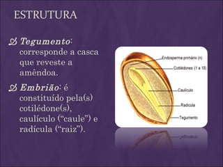ESTRUTURA

 Tegumento :
  corresponde a casca
  que reveste a
  amêndoa.
 Embrião : é
  constituído pela(s)
  cotilédone(s),
  caulículo (“caule”) e
  radícula (“raiz”).
 