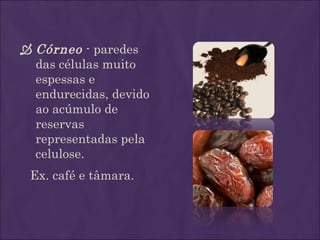  Córneo - paredes
  das células muito
  espessas e
  endurecidas, devido
  ao acúmulo de
  reservas
  representadas pela
  celulose.
 Ex. café e tâmara.
 