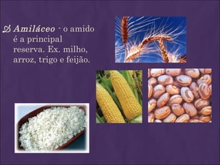  Amiláceo - o amido
  é a principal
  reserva. Ex. milho,
  arroz, trigo e feijão.
 