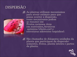 DISPERSÃO
        As plantas utilizam mecanismos
         para atrair animais para que
         possa ocorrer a dispersão,
         esses mecanismos podem
         se resumir em:
         Frutos carnosos ricos
         em nutrientes,Atrativos
          químicos (cheiro,cor) e
         estruturas aderentes (espinhos).

        São chamados de diásporos unidades da
         planta que participam da dispersão:
         sementes, frutos, planta inteira e partes
         da planta.
 