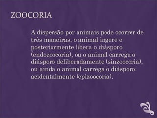 ZOOCORIA

   A dispersão por animais pode ocorrer de
   três maneiras, o animal ingere e
   posteriormente libera o diásporo
   (endozoocoria), ou o animal carrega o
   diásporo deliberadamente (sinzoocoria),
   ou ainda o animal carrega o diásporo
   acidentalmente (epizoocoria).
 