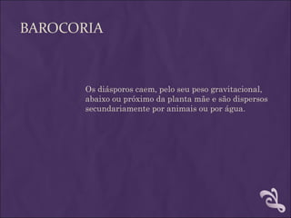 BAROCORIA



       Os diásporos caem, pelo seu peso gravitacional,
       abaixo ou próximo da planta mãe e são dispersos
       secundariamente por animais ou por água.
 